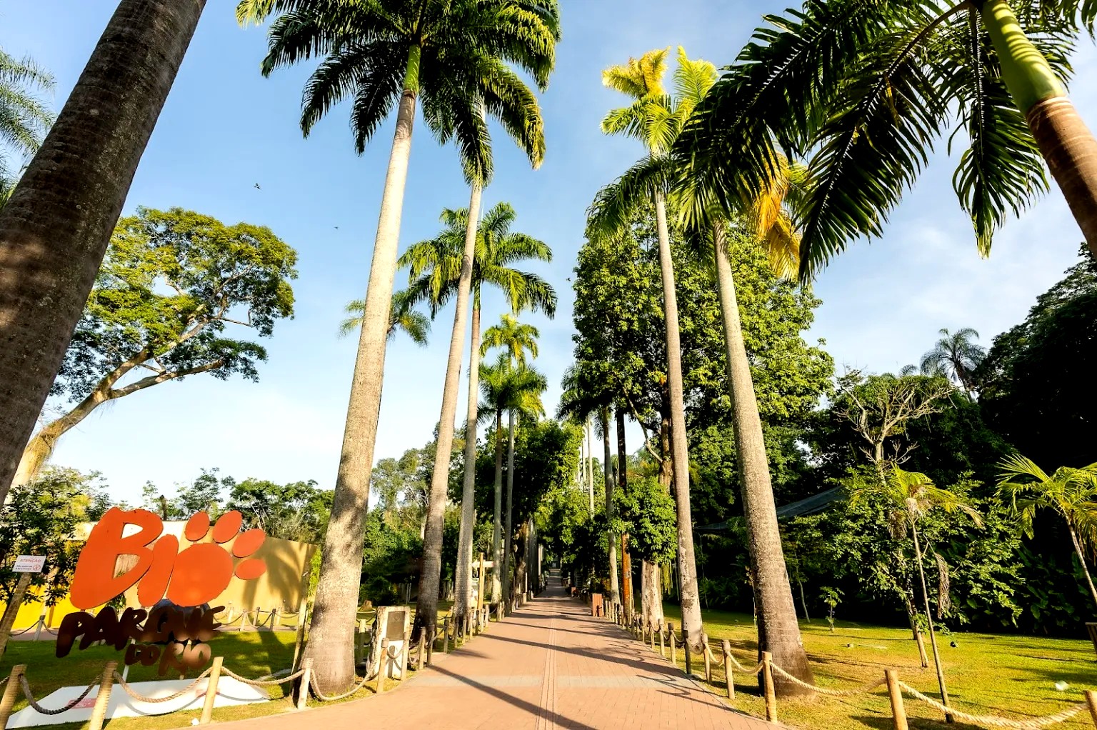 10 Lugares imperdíveis para visitar com crianças no Rio de Janeiro!