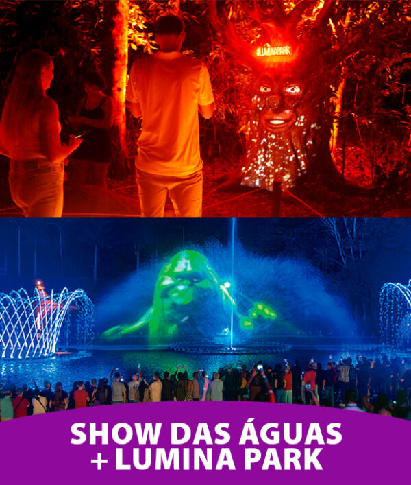 Passaporte Show das Aguas + Lumina Park